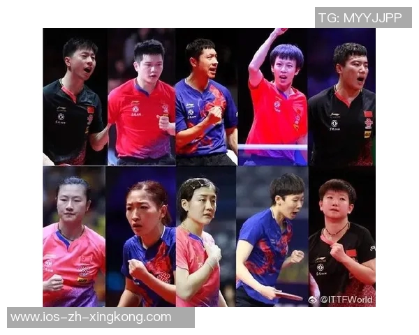 帕尼尼足球卡的魅力与收藏价值探讨,揭示球迷心中的珍藏之道 帕尼尼足球卡的魅力与收藏价值探讨,揭示球迷心中的珍藏之道